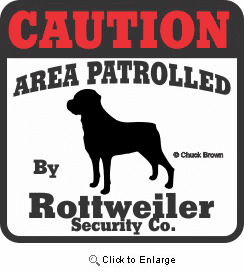 Rottweiler Bumper Sticker Caution