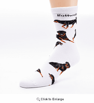 Rottweiler Poses 2 Socks