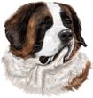 Saint Bernard Decal Window Sticker