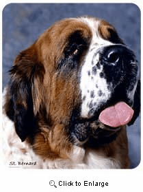 Saint Bernard Mousepad