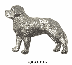 Saint Bernard Pin