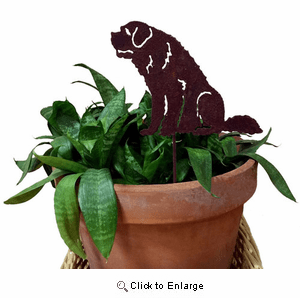 Saint Bernard Plant Stake