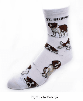 Saint Bernard Socks Poses 2