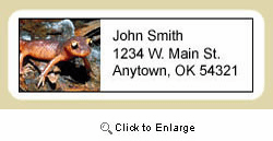 Salamander Address Labels