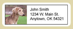 Saluki Address Labels