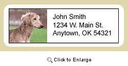 Saluki Address Labels