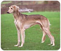 Saluki Mousepad