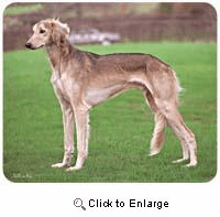 Saluki Mousepad