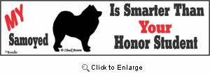 Samoyed Bumper Sticker Honor Student