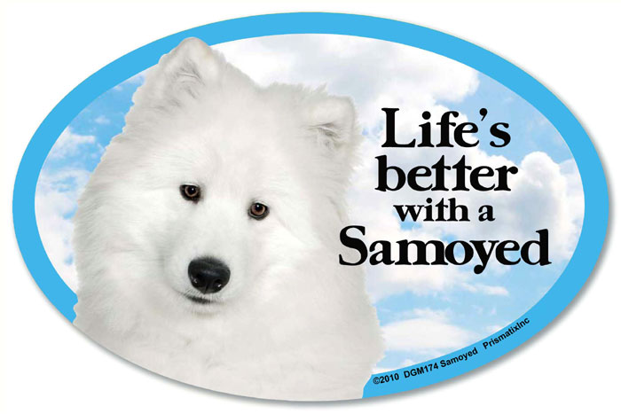 Samoyed Car Magnet - Life's Better