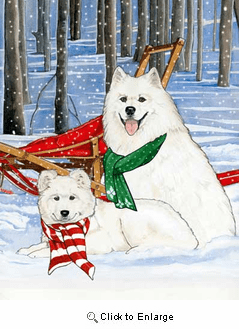 Sledge Dog Samoyed Samoyed Sled Dog Team At Work Samoyed Sled Dogs