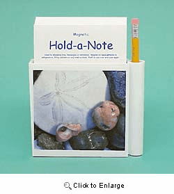Sand Dollar Hold-a-Note