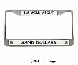 Sand Dollar License Plate Frame