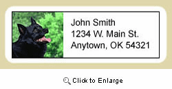 Schipperke Address Labels