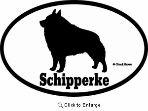 Schipperke Bumper Sticker Euro