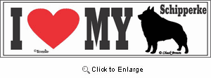 Schipperke Bumper Sticker I Love My