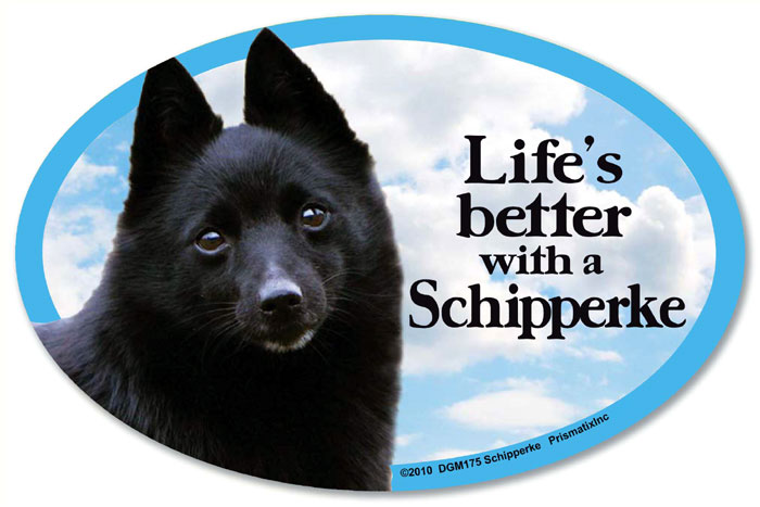 Schipperke Car Magnet - Life's Better