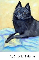 Schipperke Garden Flag