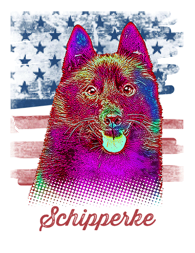 Schipperke T Shirt American Flag