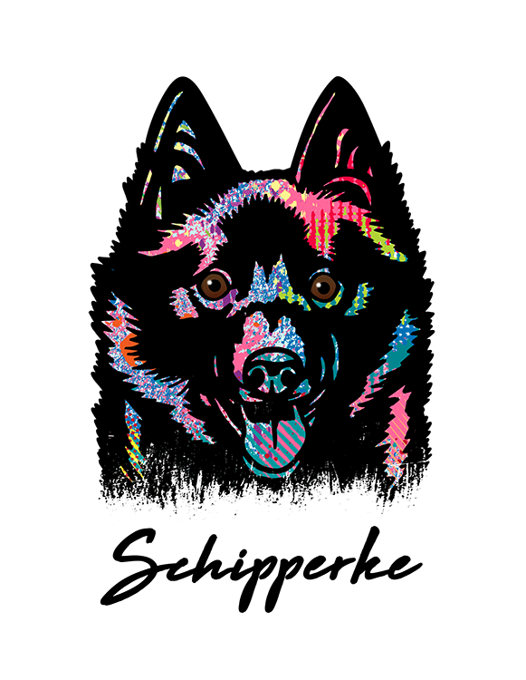 Schipperke T Shirt Colorful Abstract