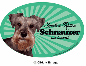Schnauzer Car Magnet - Spoiled Rotten