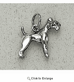 Schnauzer Charm