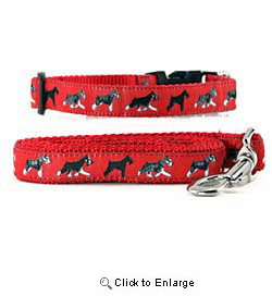 Schnauzer Collar & Leash