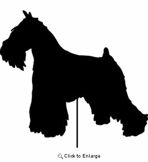 Schnauzer Garden Stake