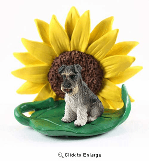 Schnauzer Gray Uncropped Sunflower Figurine