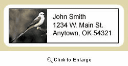 Scissor Tailed Flycatcher Address Labels