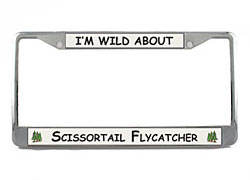 Scissor Tailed Flycatcher License Plate Frame