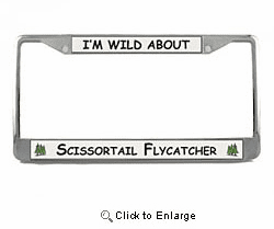 Scissor Tailed Flycatcher License Plate Frame