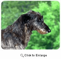 Scottish Deerhound Mousepad