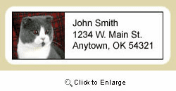 Scottish Fold Cat Address Labels