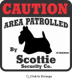 Scottish Terrier Bumper Sticker Caution