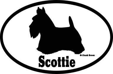 Scottish Terrier Bumper Sticker Euro