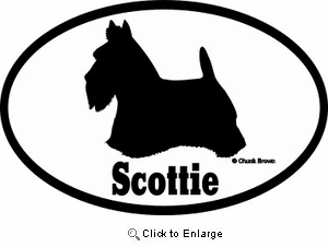 Scottish Terrier Bumper Sticker Euro