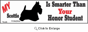 Scottish Terrier Bumper Sticker Honor Student