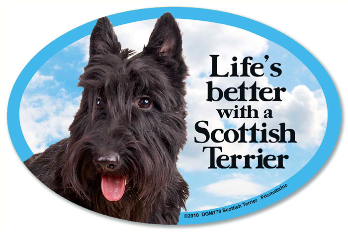 Scottish Terrier Car Magnet - Life's Better