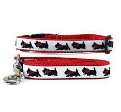 Scottish Terrier Collar & Leash