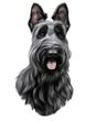 Scottish Terrier Decal Window Sticker