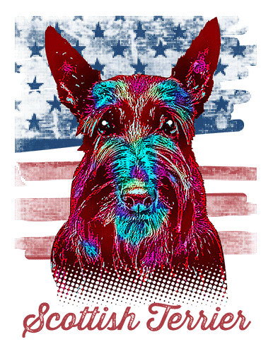 Scottish Terrier T Shirt American Flag