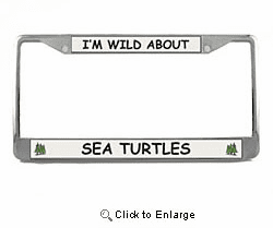 Sea Turtle License Plate Frame