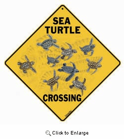 Sea Turtle Sign