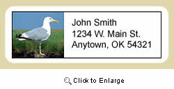 Seagull Address Labels