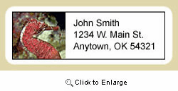 Seahorse Address Labels