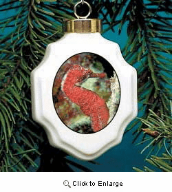 Seahorse Christmas Ornament Porcelain
