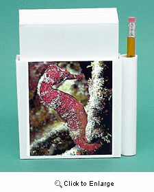 Seahorse Hold-a-Note