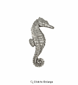 Seahorse Pin