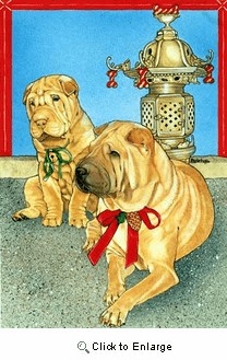 Shar Pei Christmas Cards